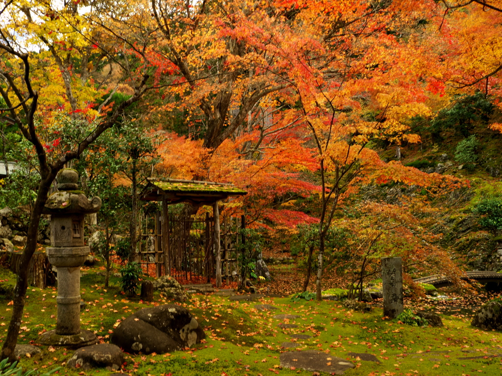 慈恩禅寺の彩り