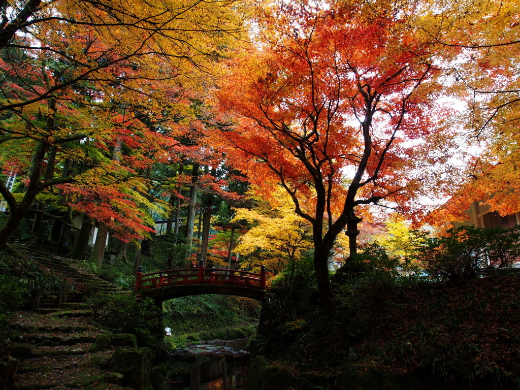 横蔵寺の紅葉