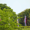 五月の香り