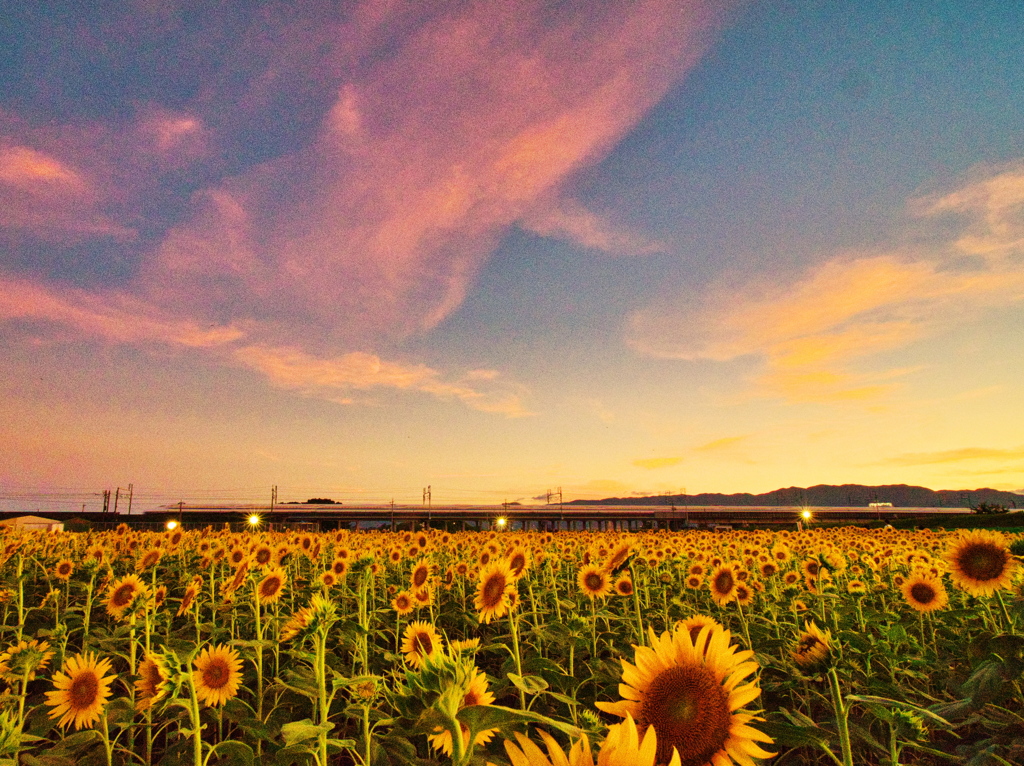 夕暮時に