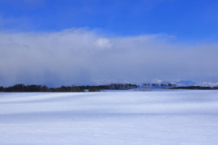 雪原