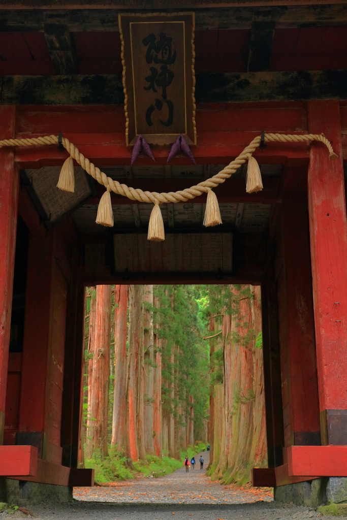  随神門をくぐれば