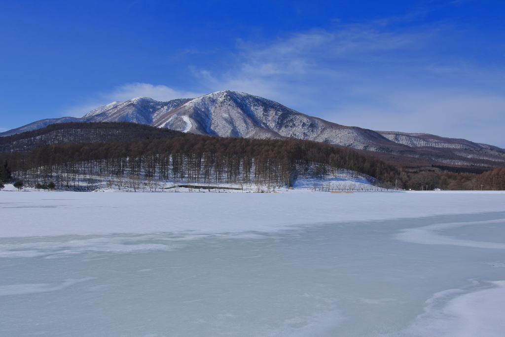 Winter scene