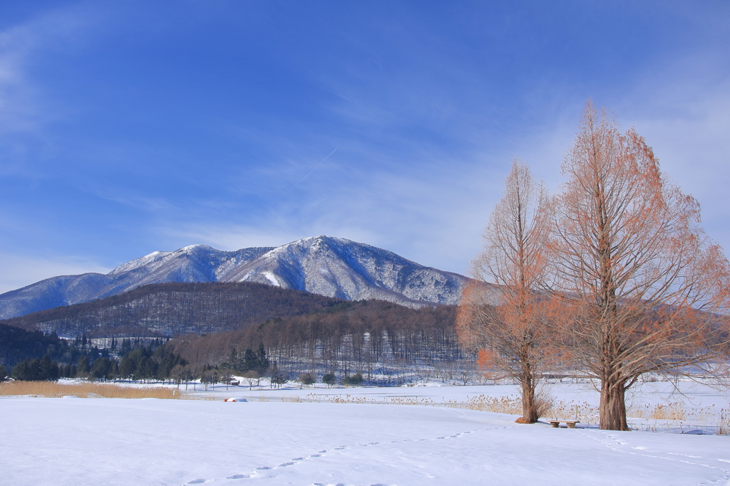 Winter scene 2　