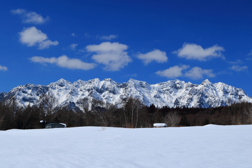 雪原の向こうの戸隠西岳