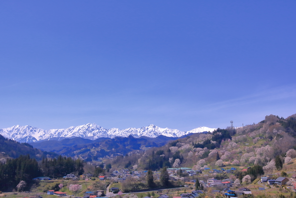 里山の春