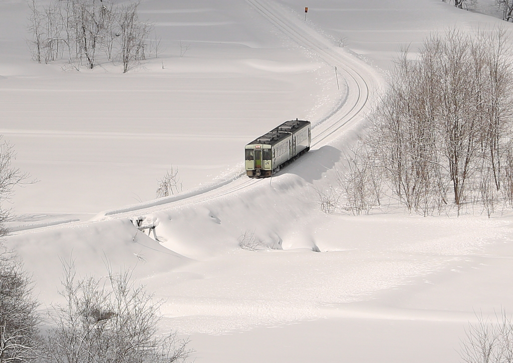 雪原を走る