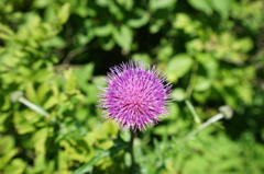 DSC00574