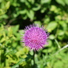 DSC00574