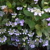 DSC00571