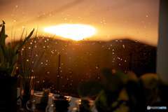 雨と夕焼け