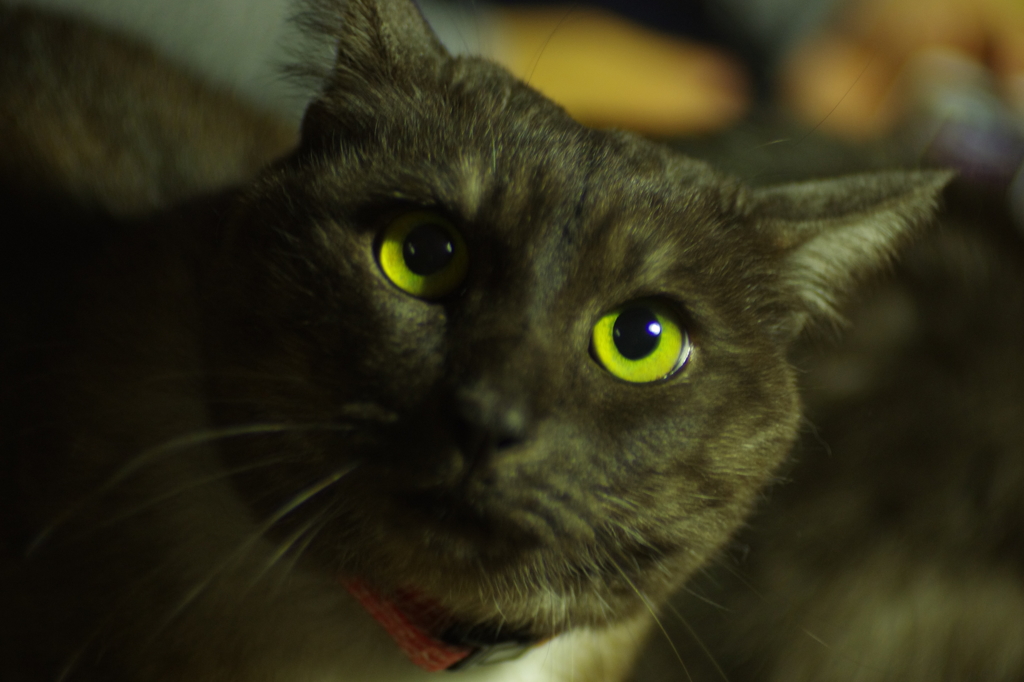 キャンディ（かわかわ