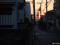 夕陽