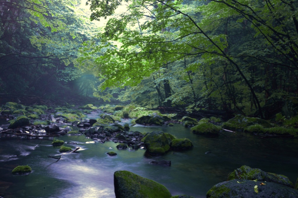 静かな川の流れ