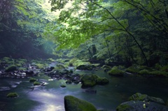 静かな川の流れ