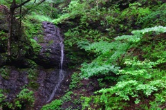 連珠の滝