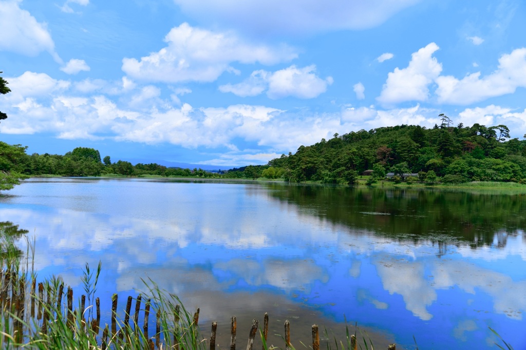 『南湖公園』