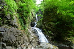 竜化の滝