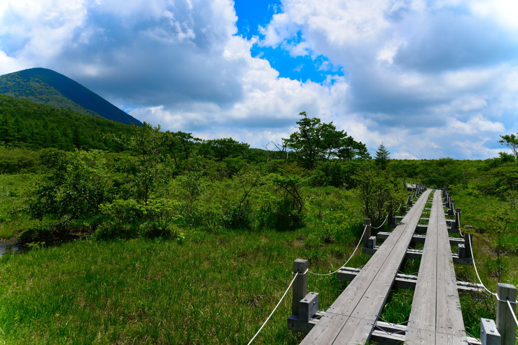 沼ッ原湿原