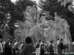L.モノクロームでサル山