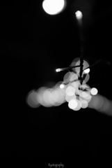 [ night light ]