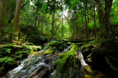 瓜割の滝