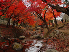 紅葉トンネル