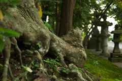 でっかいナメクジ