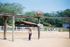 見つめ合い