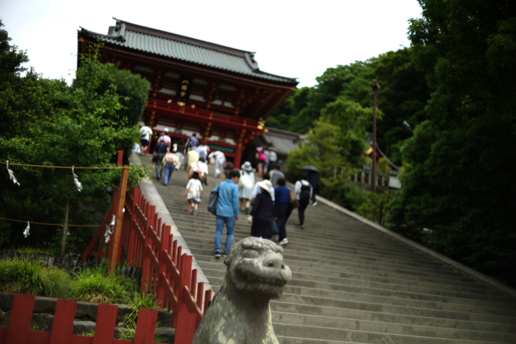 八幡宮の狛さん