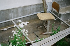 廃墟のような母校