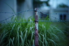 特に意味もなく