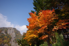 IMGP0174