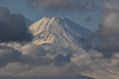 DSC_0011_1167DSC_0011セカンド