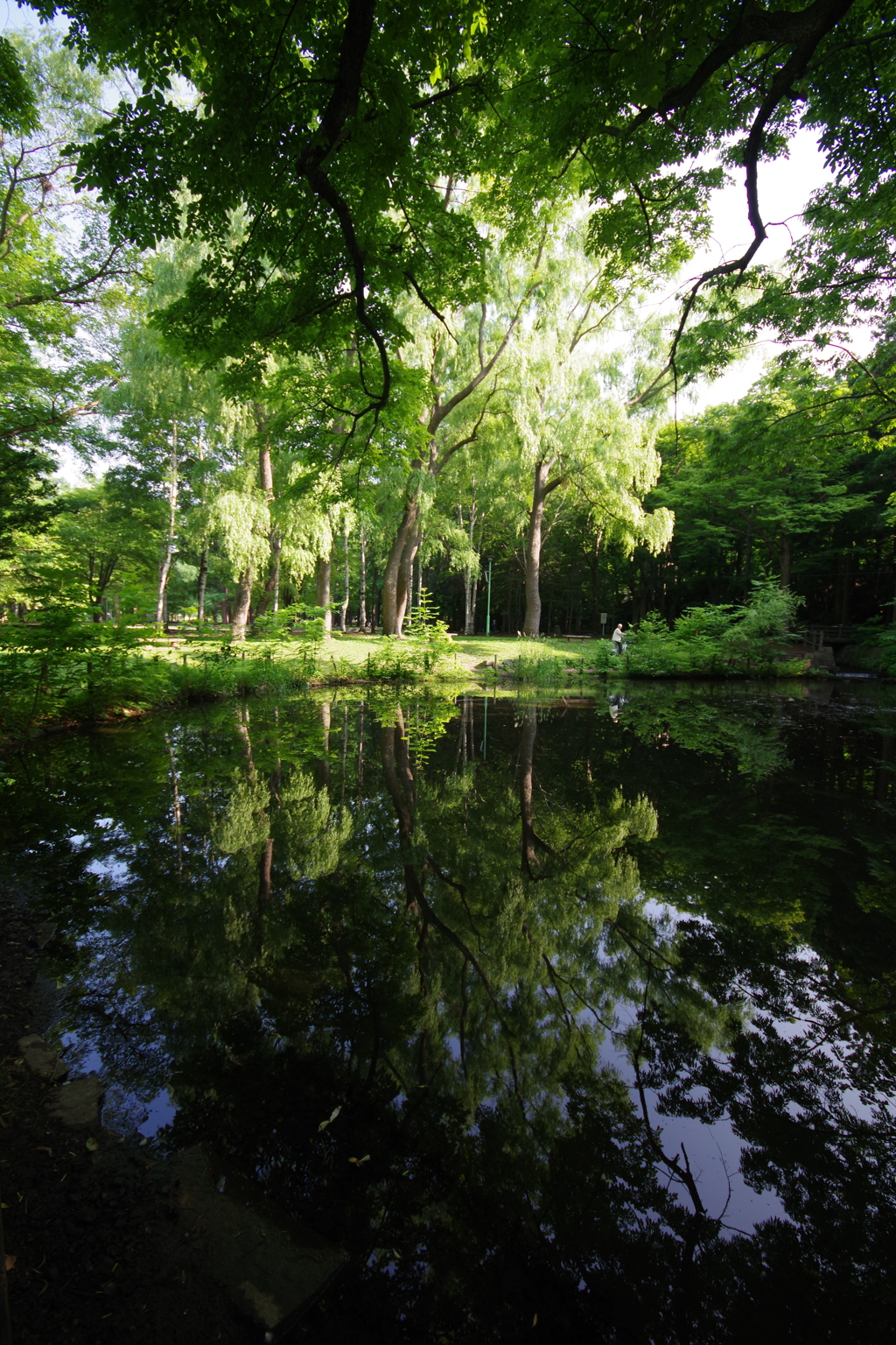 IMGP0576