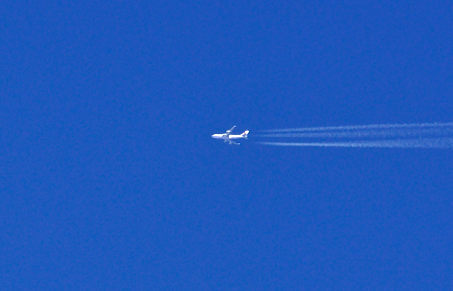 DSC_0018_1168DSC_0018セカンド