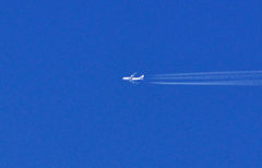 DSC_0018_1168DSC_0018セカンド