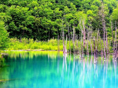 DSCN0055_903DSCN0055セカンド_1175DSCN0055_90