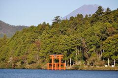 DSC_0034_1171DSC_0034セカンド