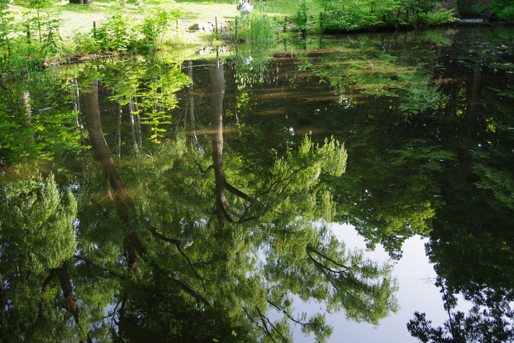 IMGP0573