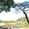 日本一高い美術館