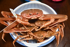 松葉蟹
