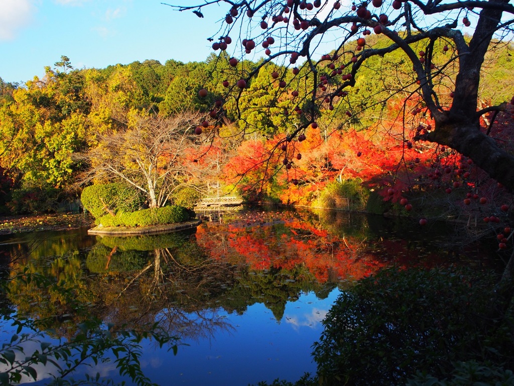 逆さ紅葉
