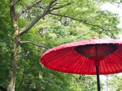 梅雨の深大寺