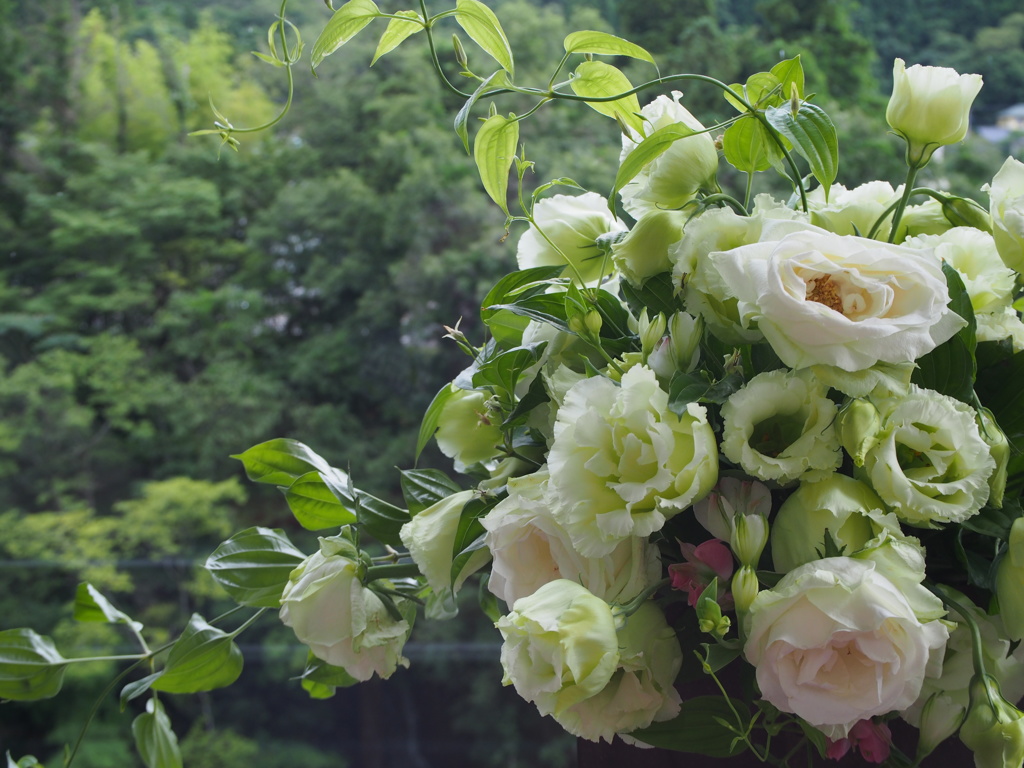 窓辺の花束