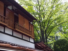 深大寺のお蕎麦屋さん