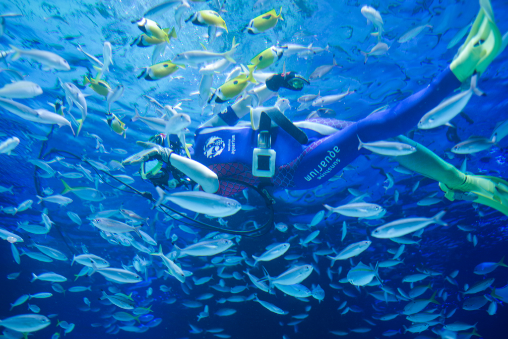 サンシャイン水族館