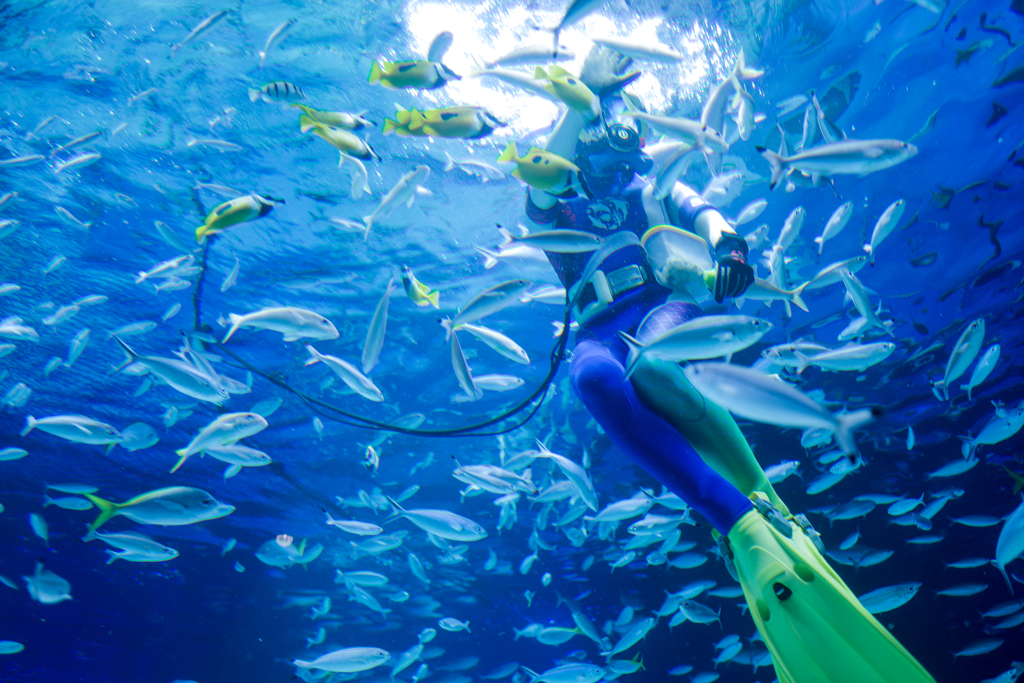 サンシャイン水族館