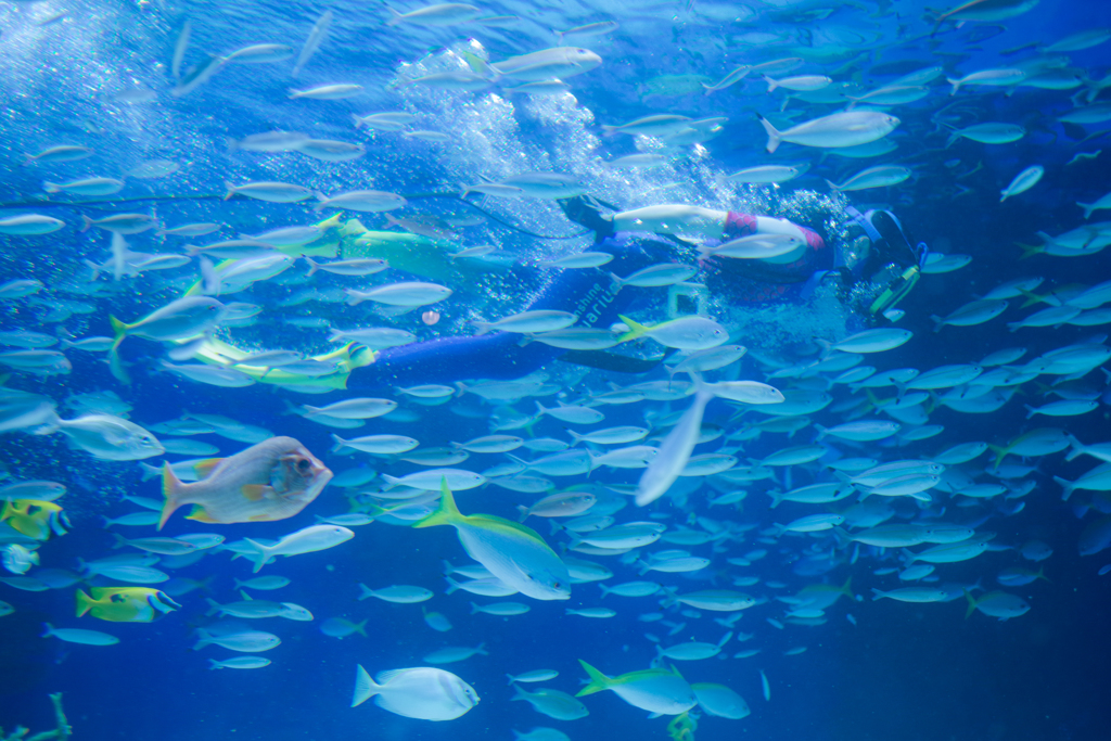 サンシャイン水族館