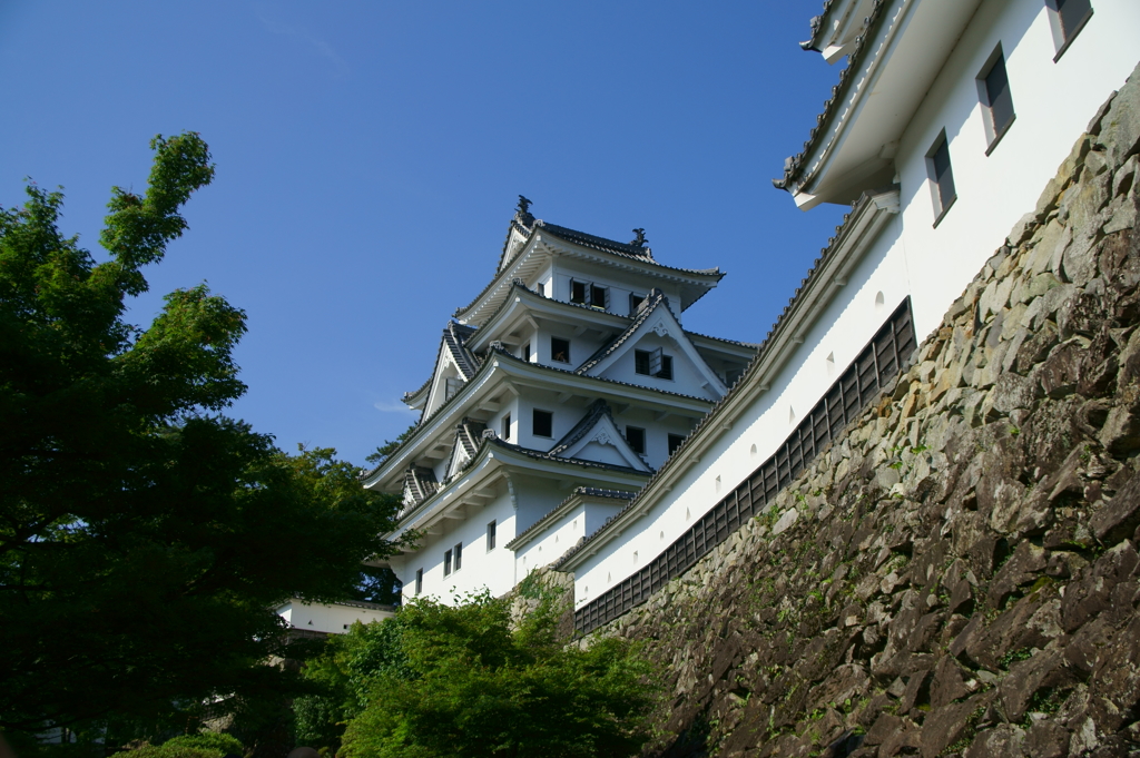 郡上八幡城
